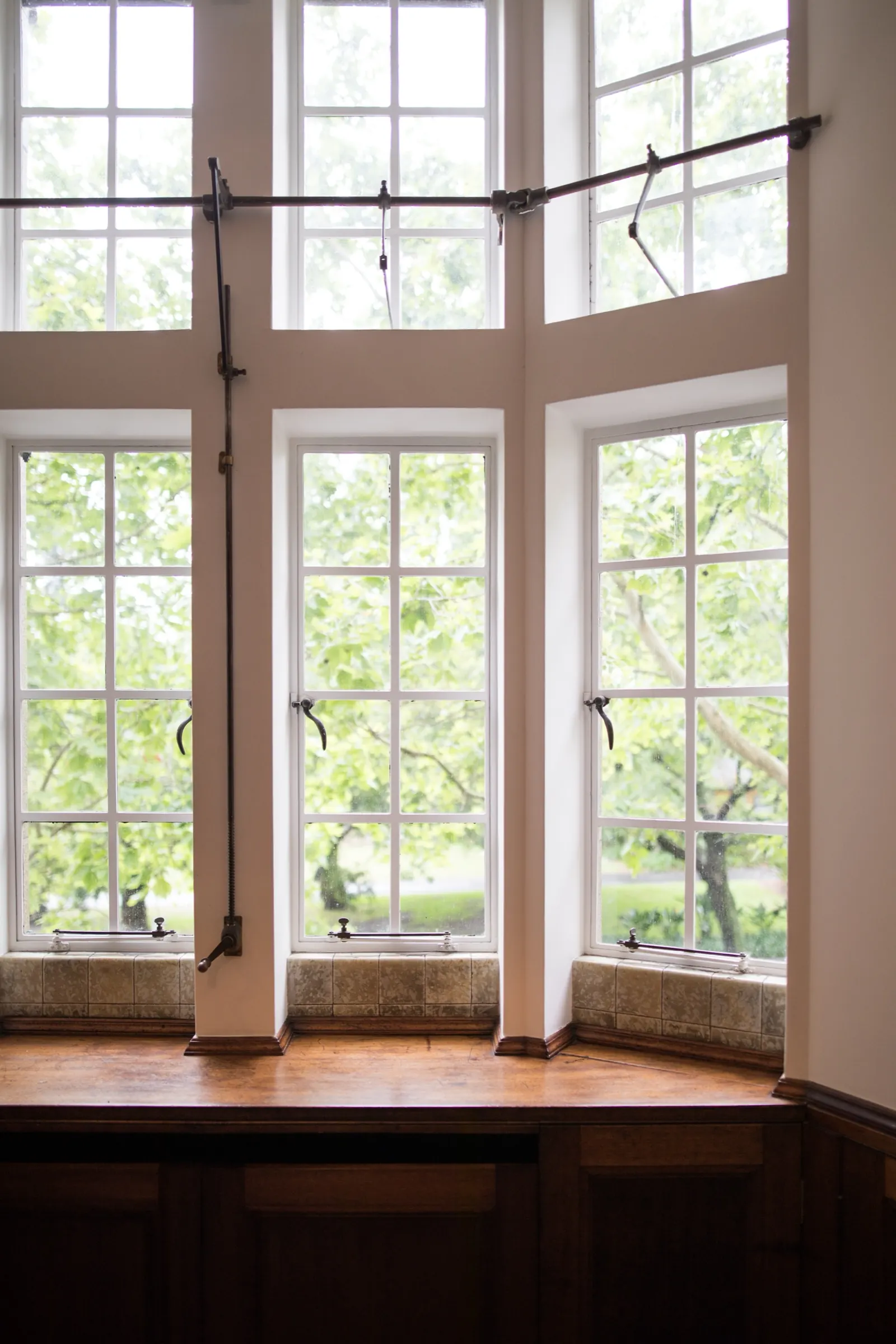 A bay of white-framed windows looking out onto trees